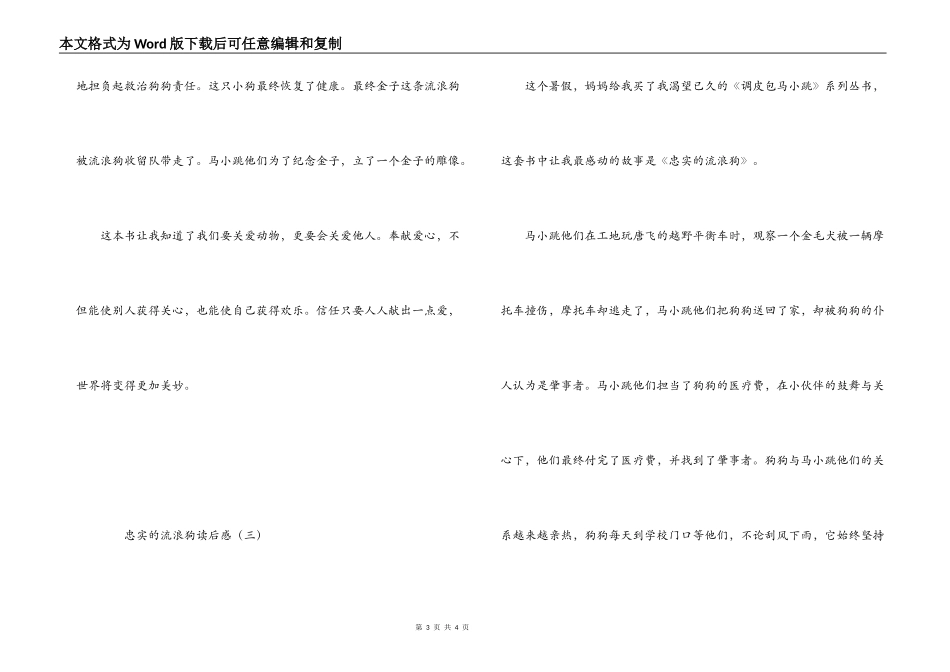 忠实的流浪狗读后感_第3页