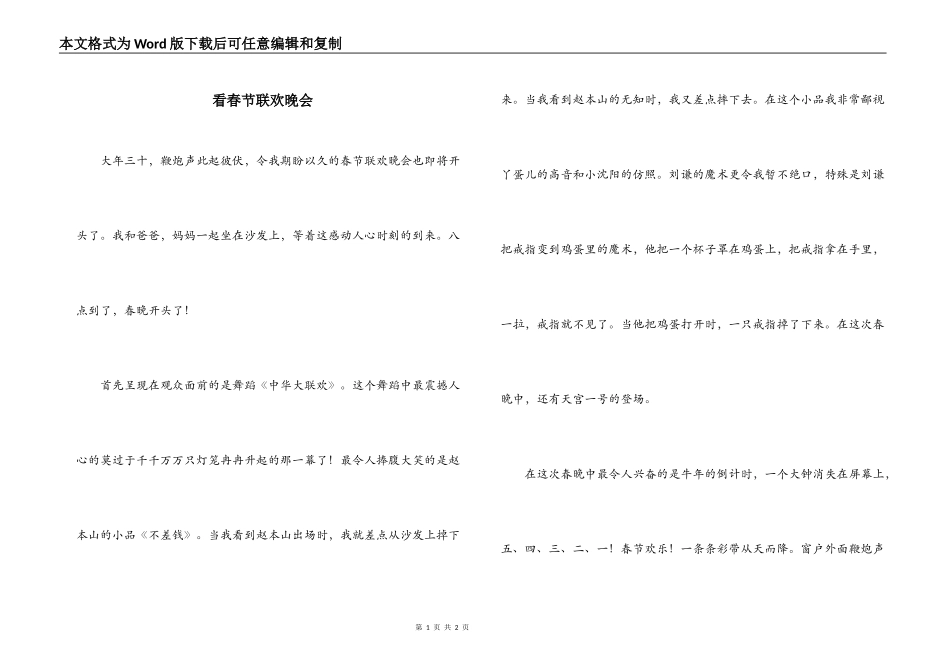 看春节联欢晚会_第1页