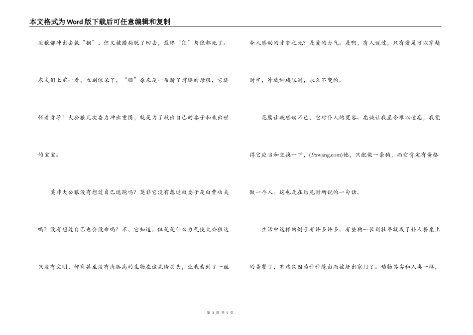 第七条猎狗读后感600字_第3页