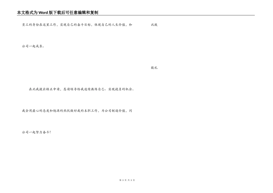 员工转正申请书范文_第3页