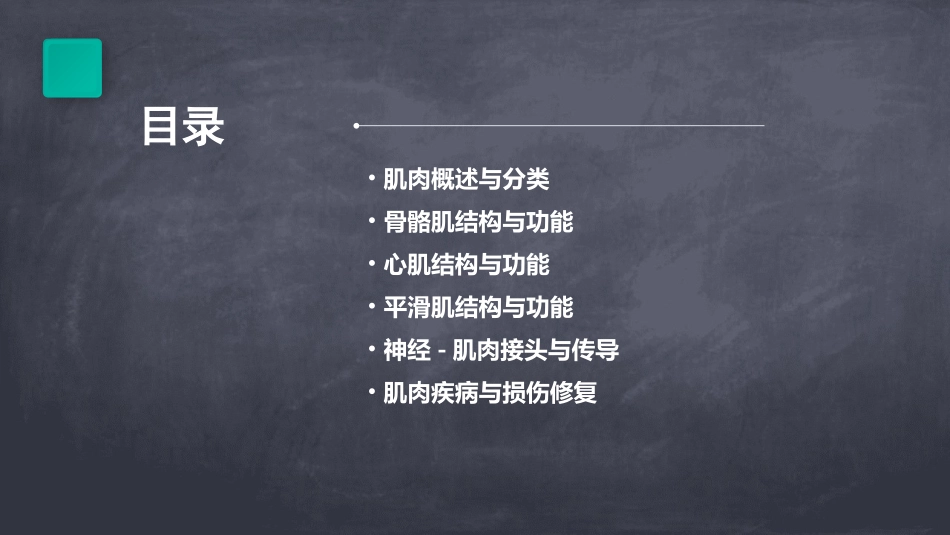 解剖学肌肉课堂PPT_第2页