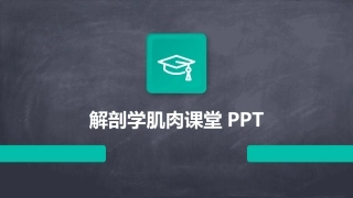 解剖学肌肉课堂PPT