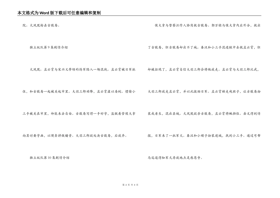 独立纵队第7,8,9,10,11,12集剧情介绍_第2页