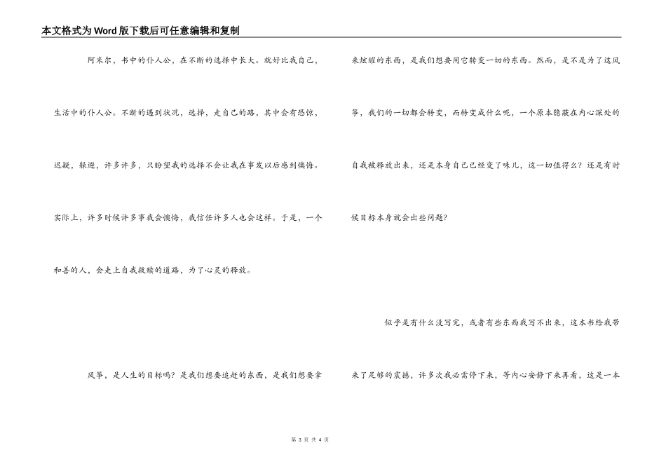 追风筝的人读后感800字_第3页