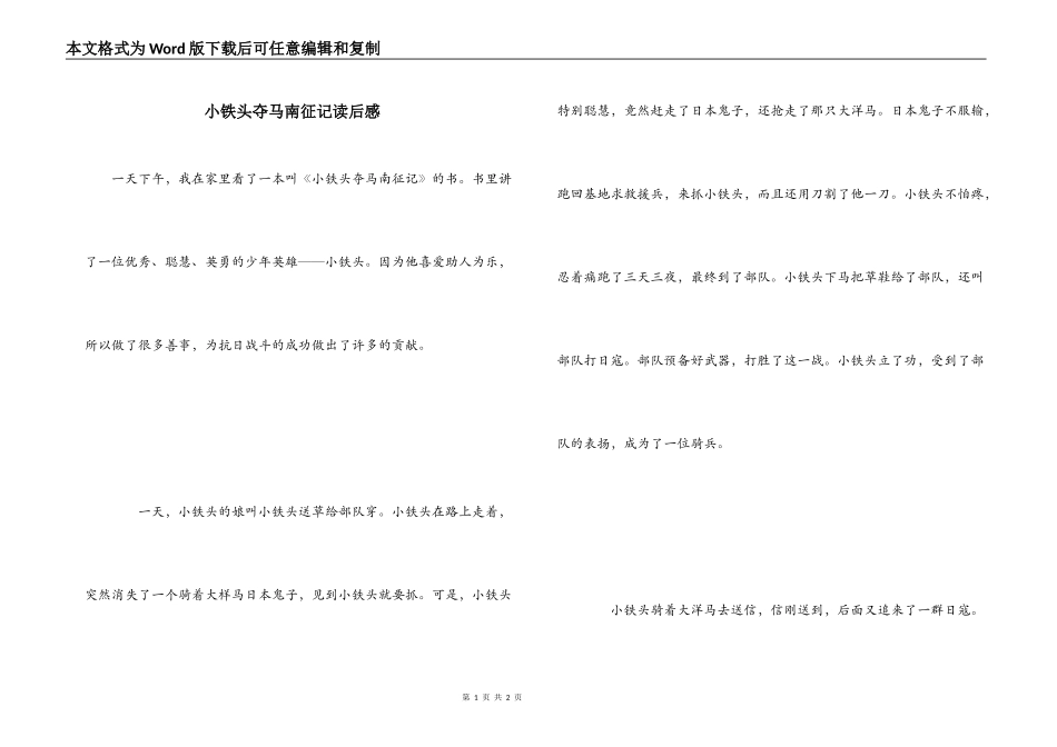 小铁头夺马南征记读后感_第1页