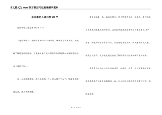 追风筝的人读后感500字