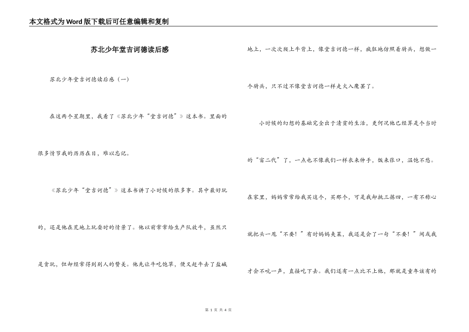 苏北少年堂吉诃德读后感_第1页
