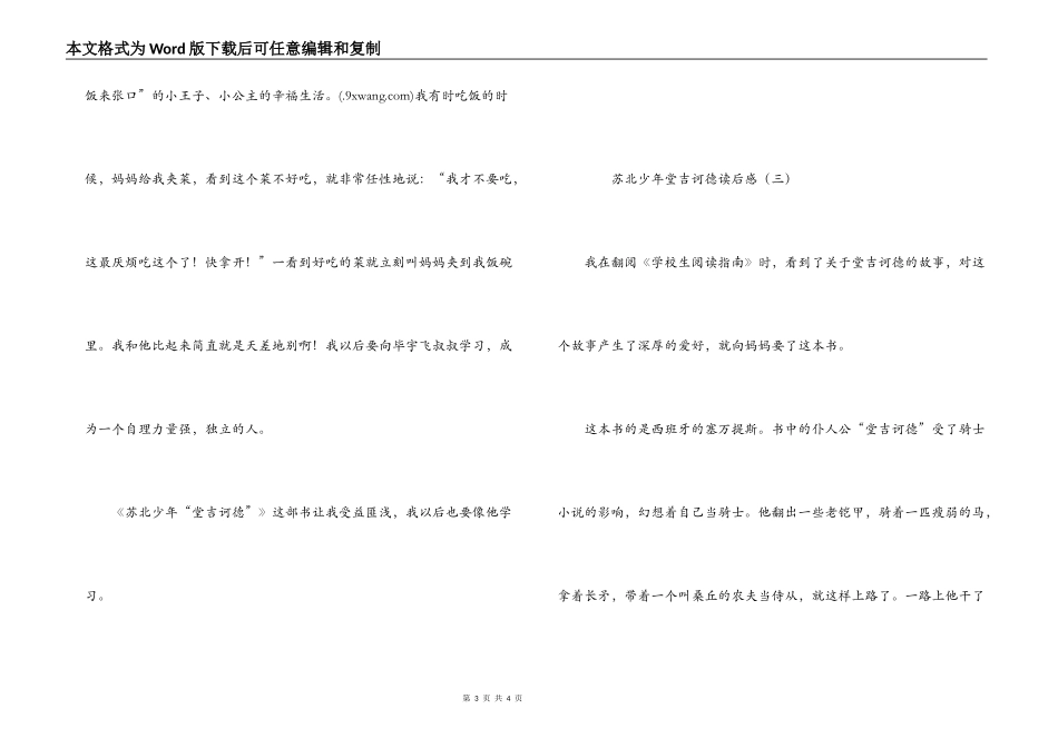 苏北少年堂吉诃德读后感_第3页