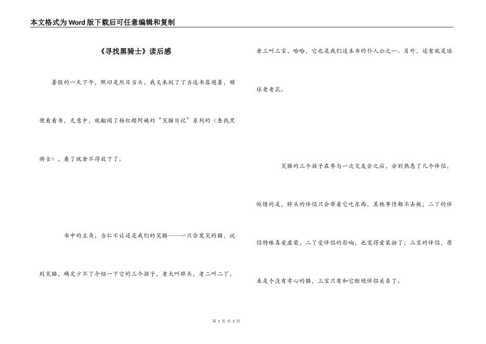 《寻找黑骑士》读后感_第1页
