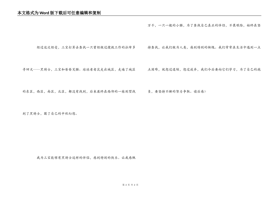 《寻找黑骑士》读后感_第2页