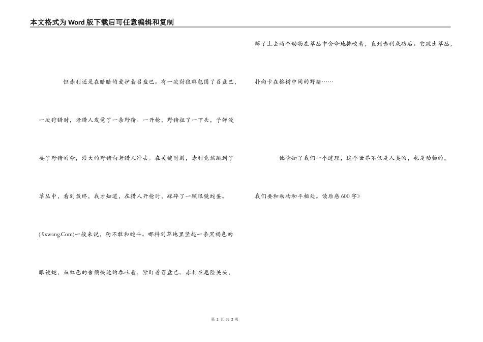 《第七条猎狗读后感》读后感600字_第2页