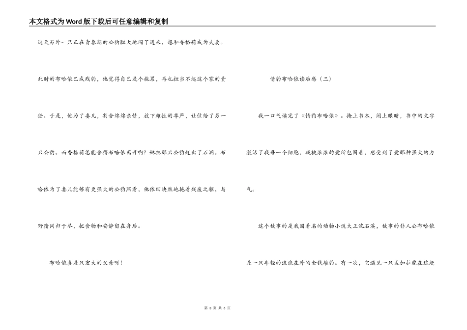 情豹布哈依读后感_第3页