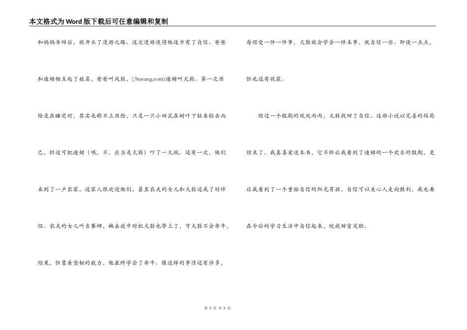 火鞋与风鞋读后感_第3页