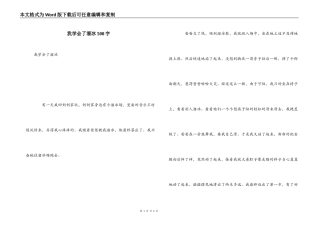 我学会了溜冰500字