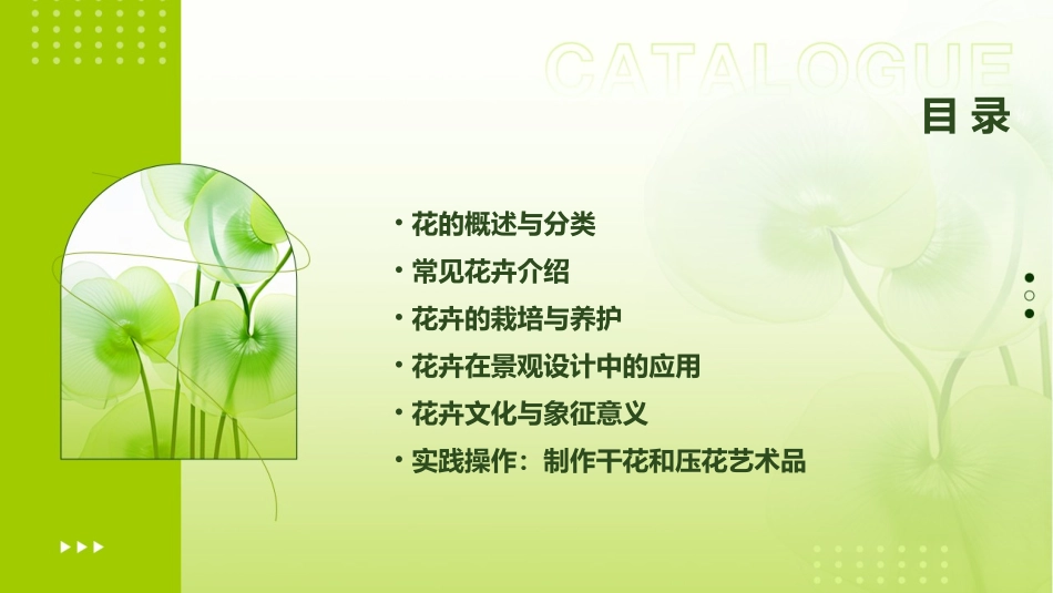 花的世界教学课件_第2页