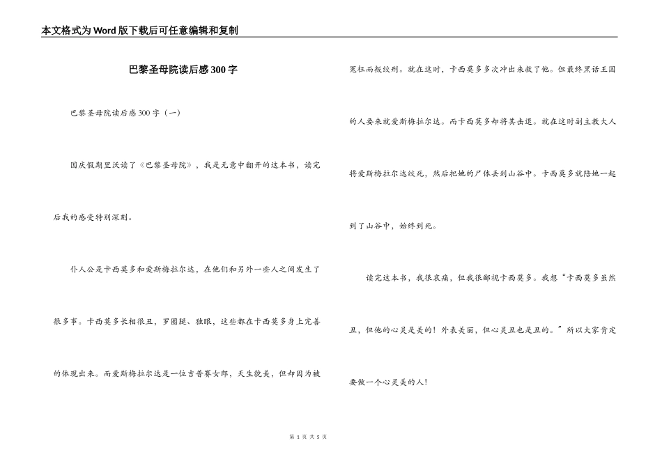 巴黎圣母院读后感300字_第1页