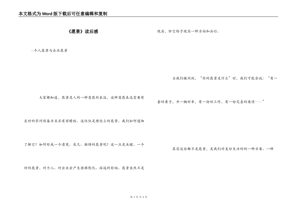 《愿景》读后感_第1页