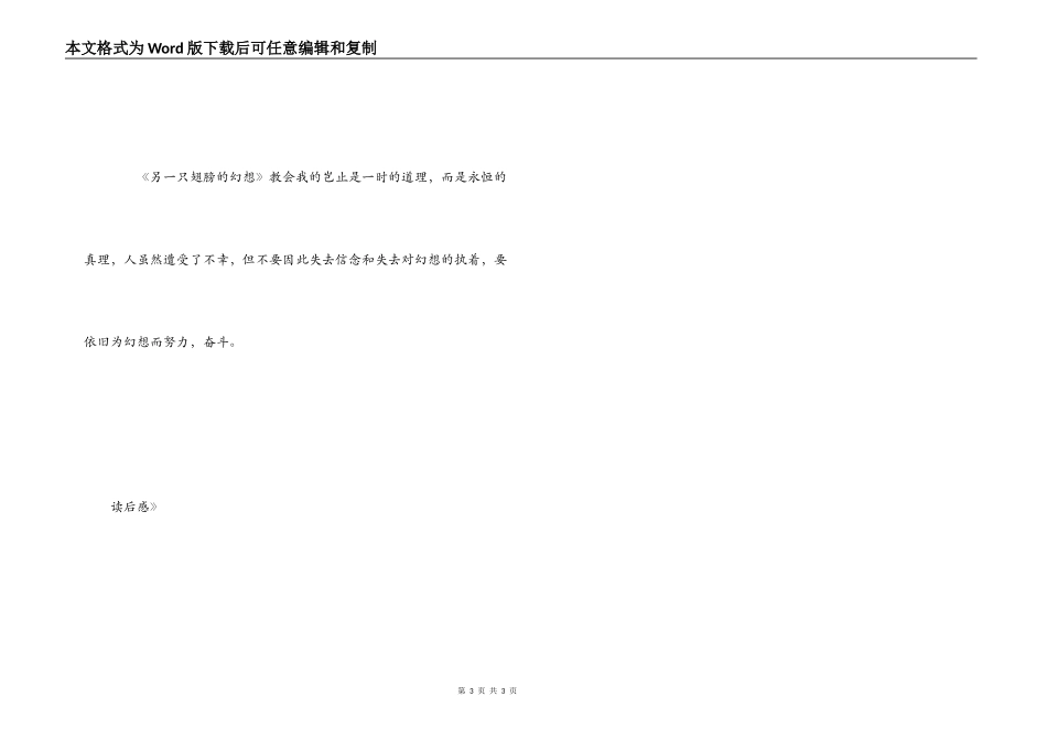 《另一只翅膀的梦想》读后感_第3页