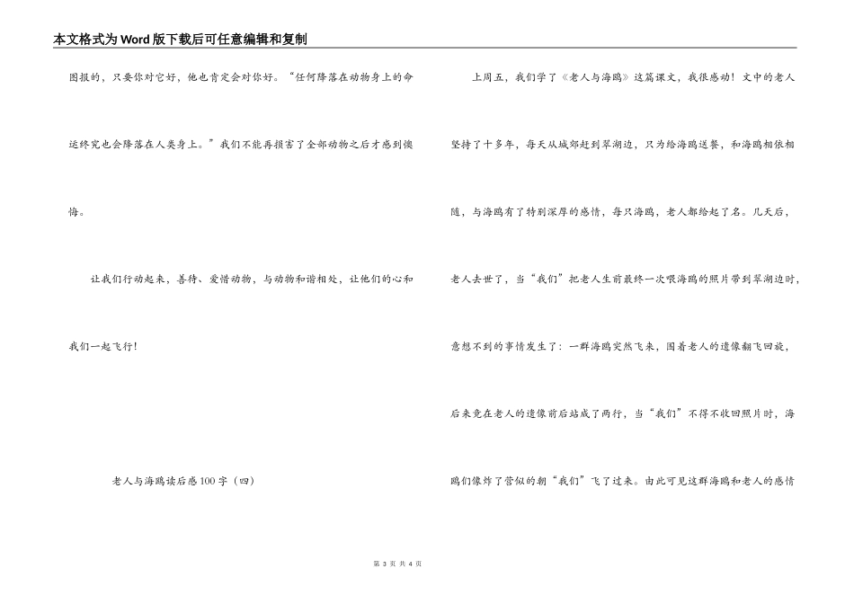 老人与海鸥读后感100字_第3页