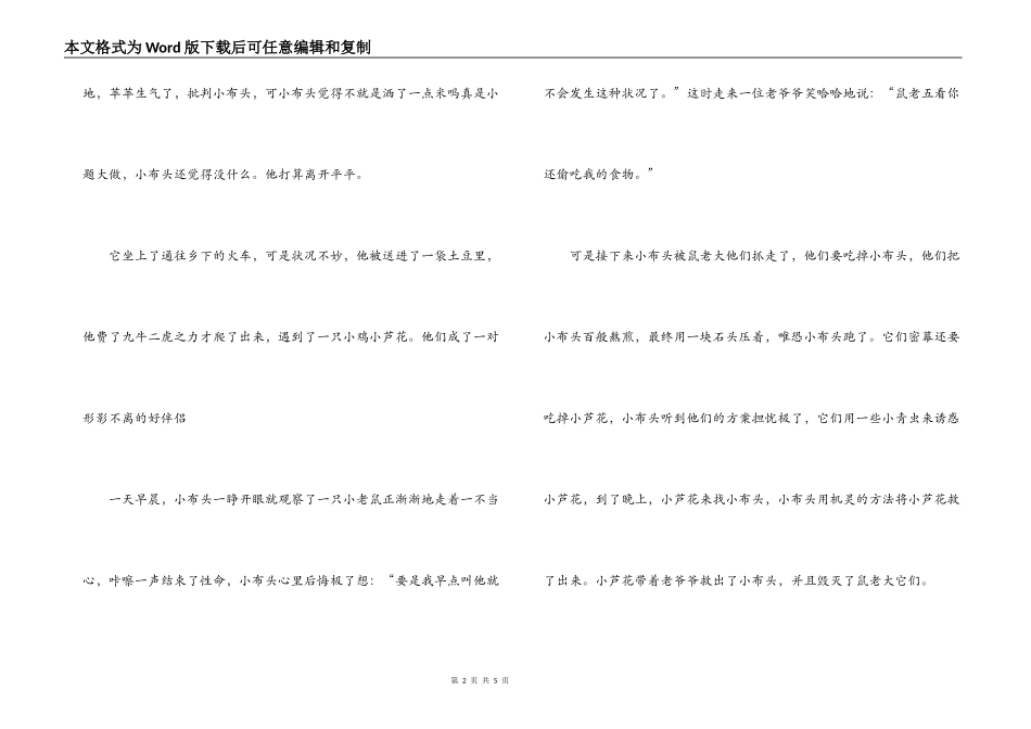 小布头奇遇记读后感_第2页