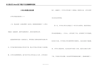 小布头奇遇记读后感