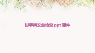 脚手架安全检查ppt课件