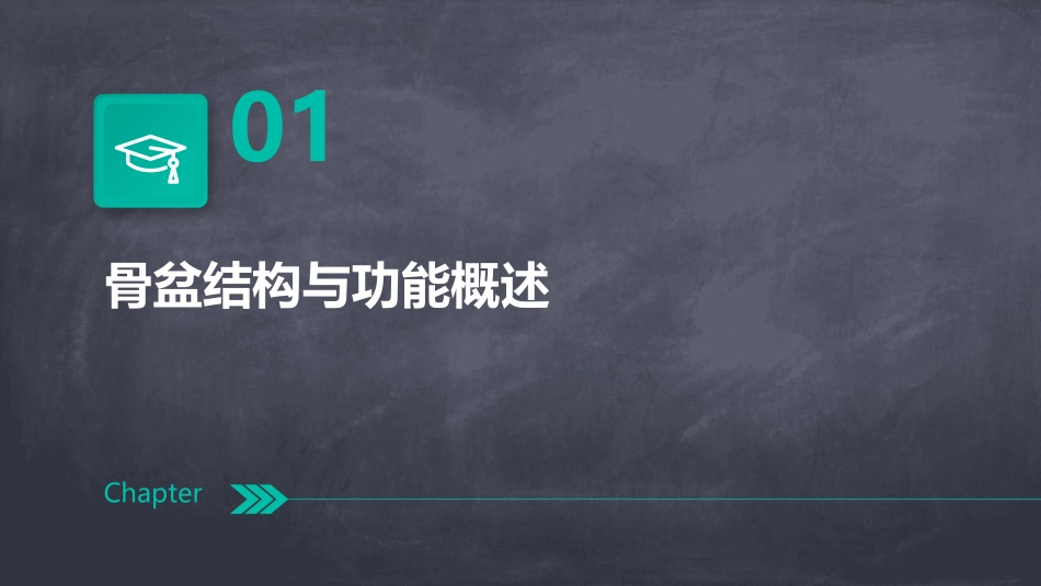 必看最全骨盆知识分享掌握产后修复原理_第3页