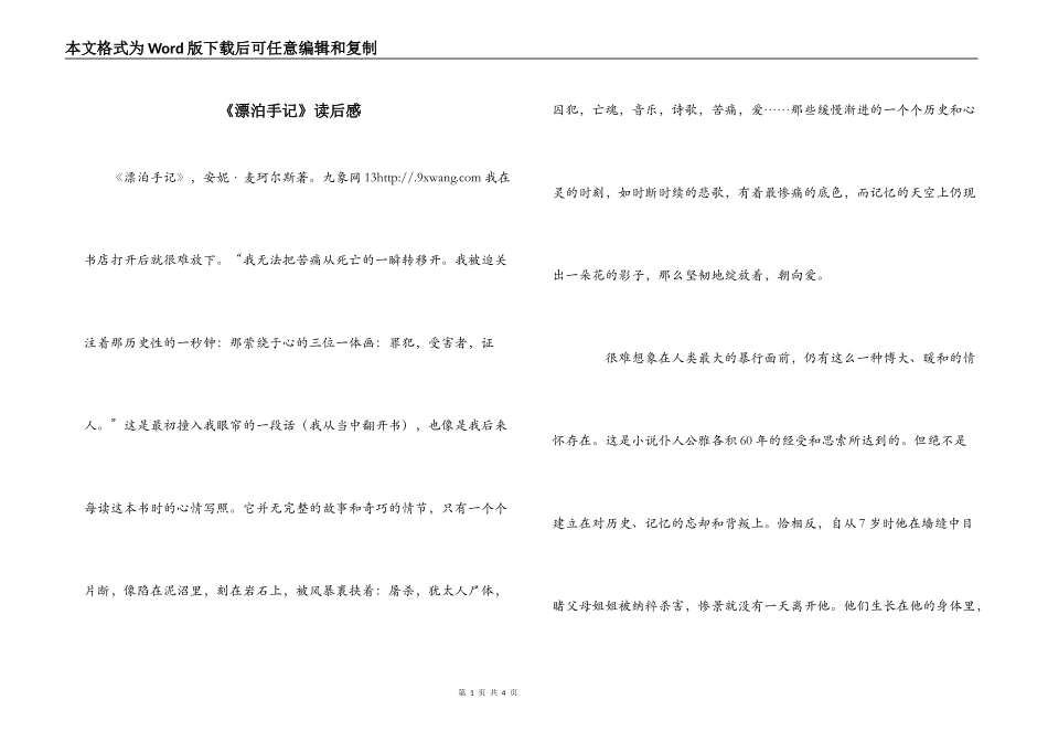 《漂泊手记》读后感_第1页