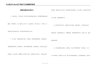 绿野仙踪的好词好句
