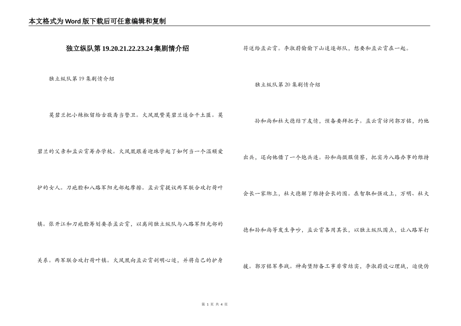 独立纵队第19.20.21.22.23.24集剧情介绍_第1页