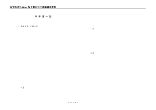 半 年 度 计 划