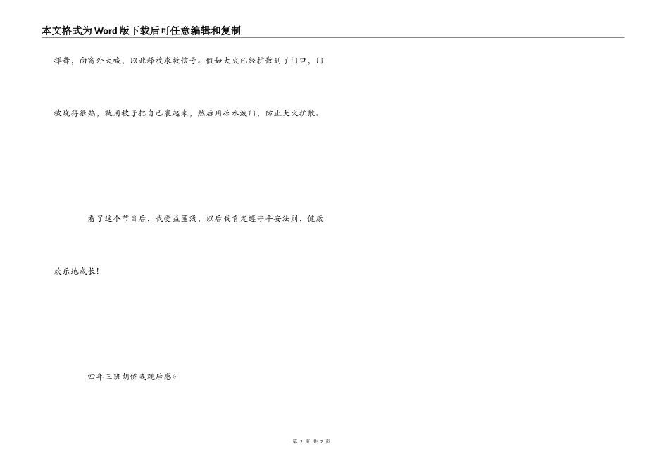 《春季安全教育第一课》观后感_第2页
