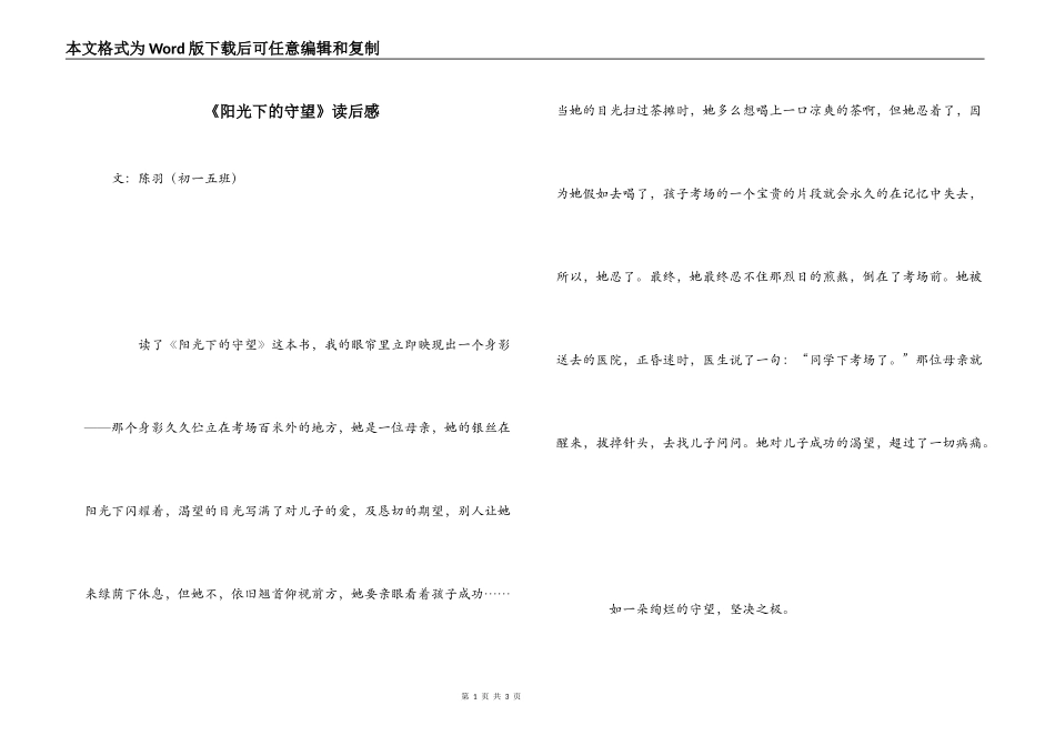 《阳光下的守望》读后感_第1页