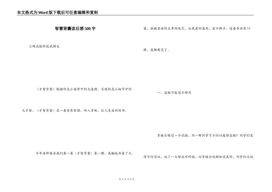 智慧背囊读后感500字_第1页