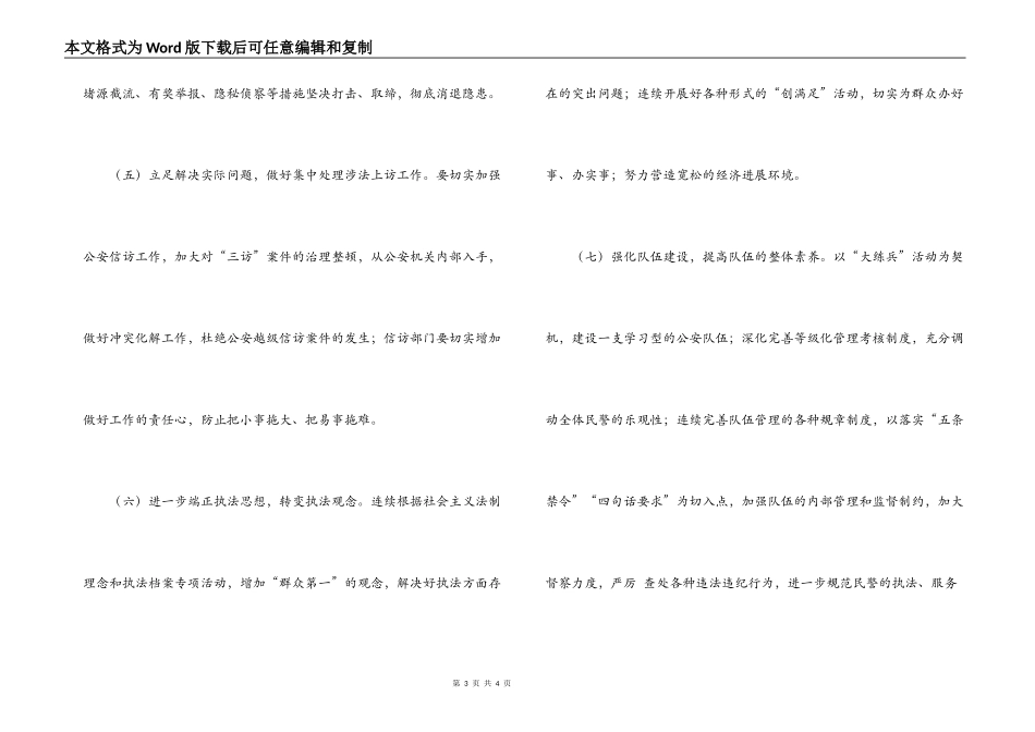 2022年公安工作计划_第3页