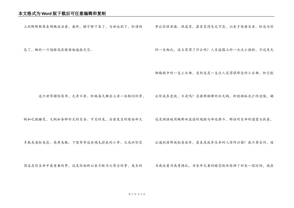 天鹅之死观影心得_第2页