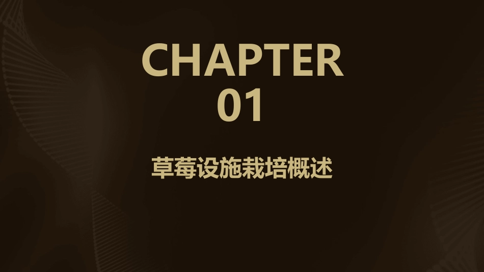 草莓设施栽培PPT课件_第3页