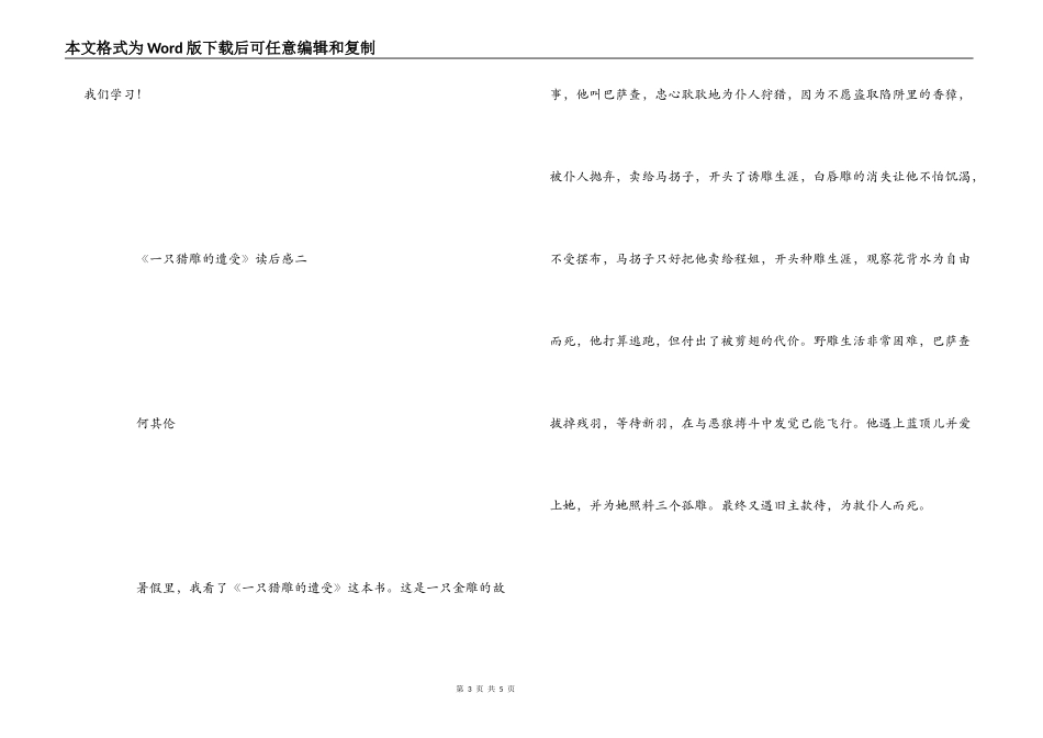 《一只猎雕的遭遇》读后感_第3页