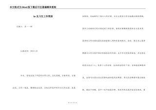 hr见习生工作简报