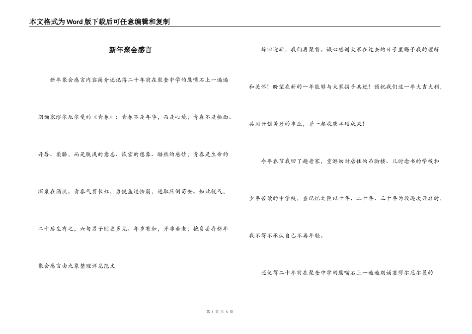 新年聚会感言_第1页