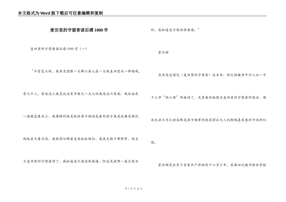 麦田里的守望者读后感1000字_第1页