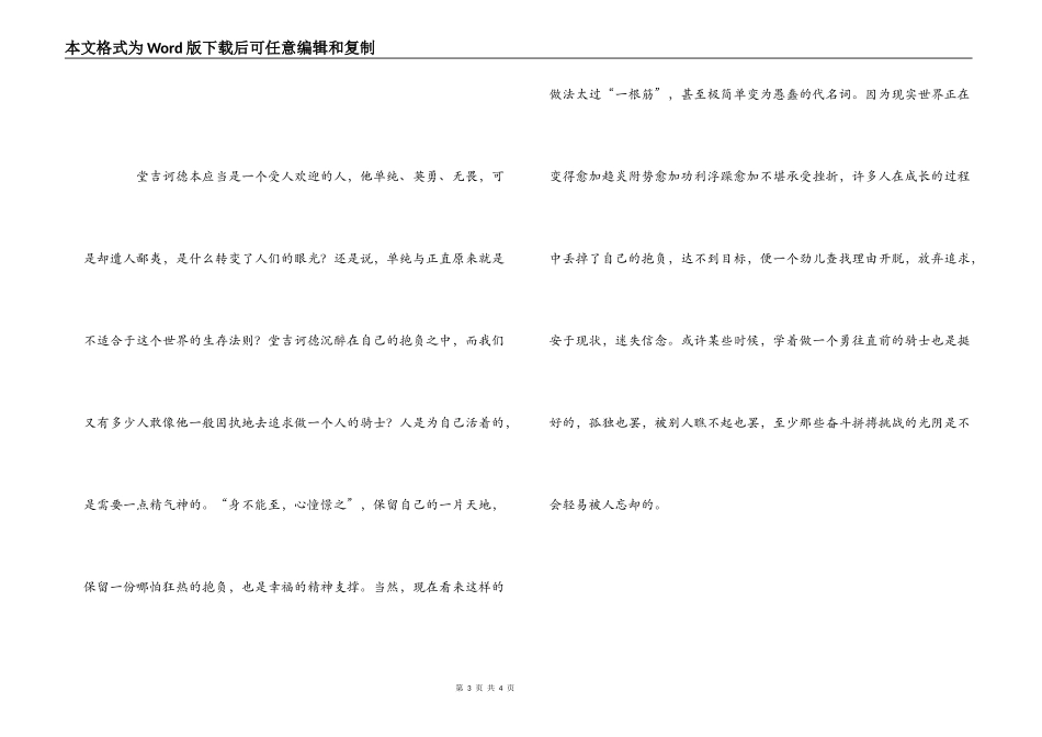 《堂吉诃德》读后感_第3页