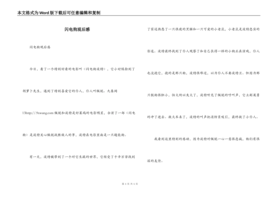 闪电狗观后感_第1页