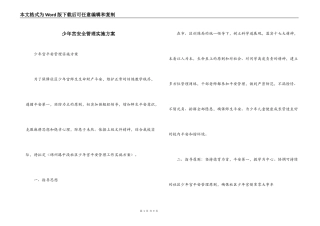 少年宫安全管理实施方案