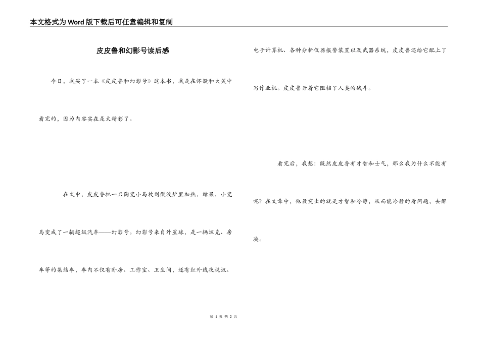 皮皮鲁和幻影号读后感_第1页