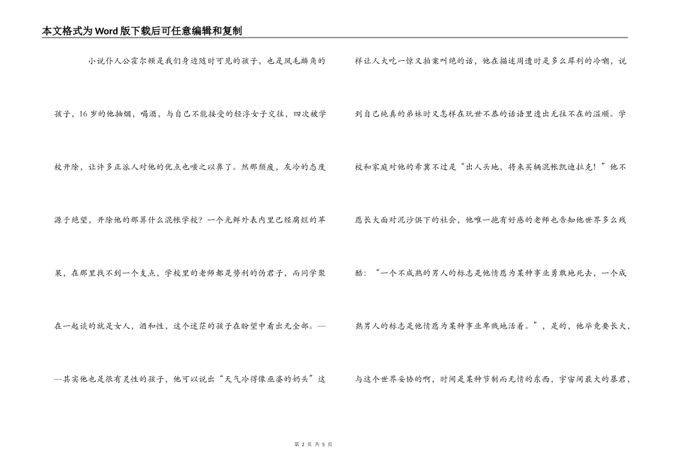 麦田的守望者读后感_第2页