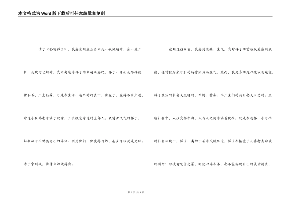 《骆驼祥子》读后感1000字_第3页