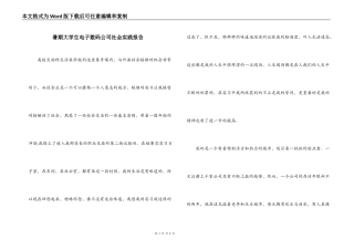 暑期大学生电子数码公司社会实践报告