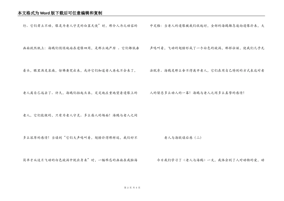 老人与海欧读后感_第2页