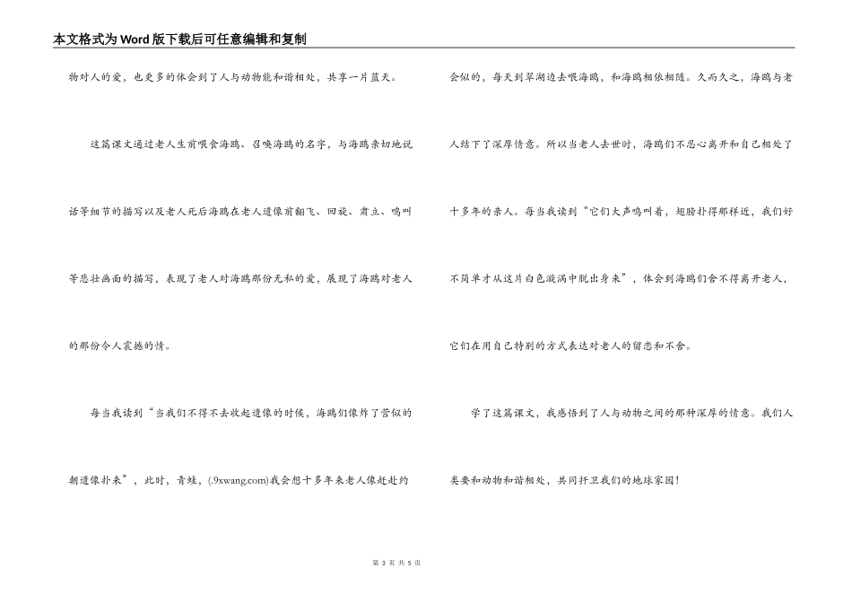 老人与海欧读后感_第3页